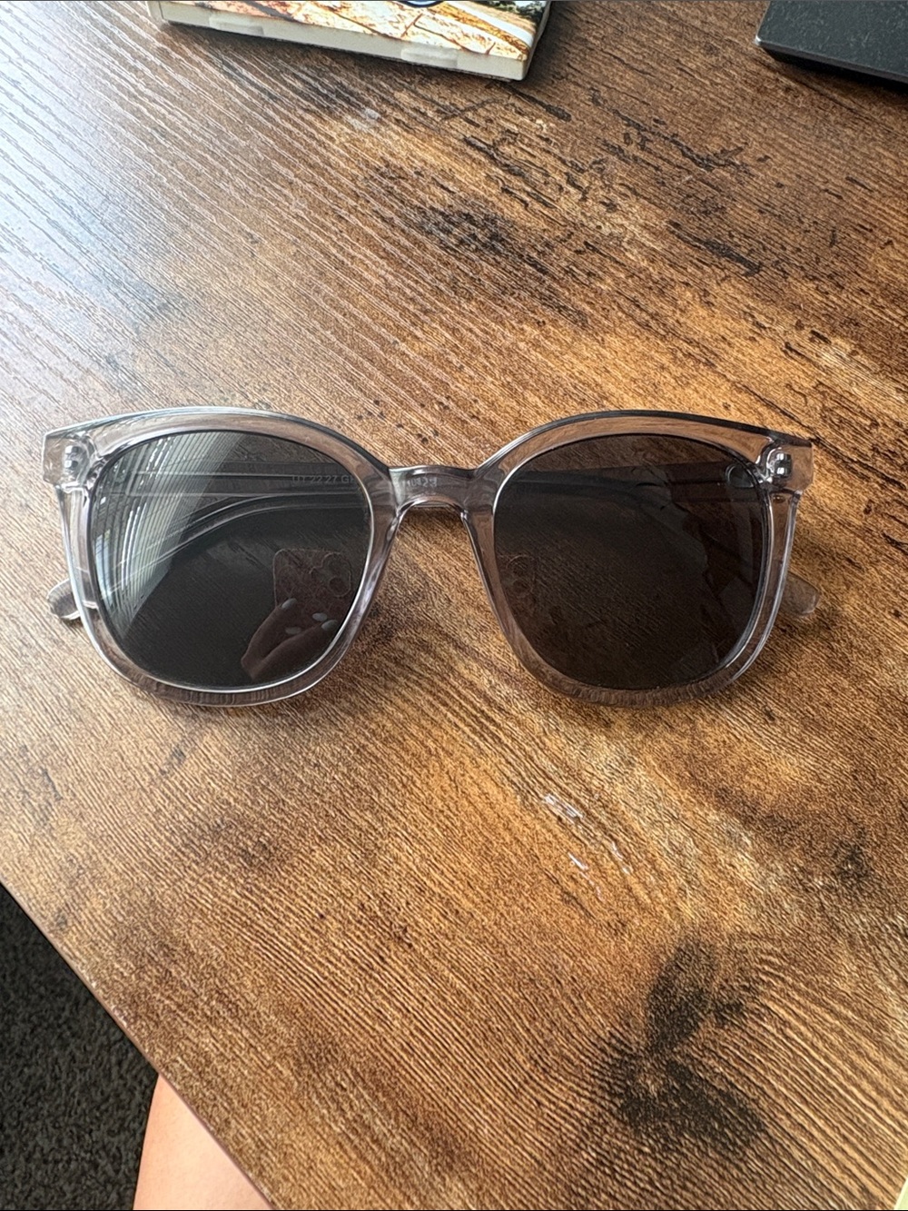 Clear Gray Frame Sunglasses with Dark Lenses